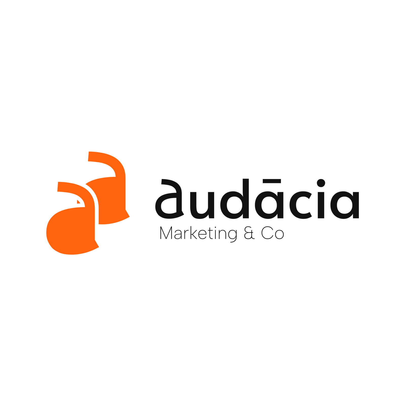 Logo Audácia
